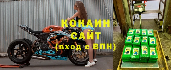 мяу мяу мука Абаза