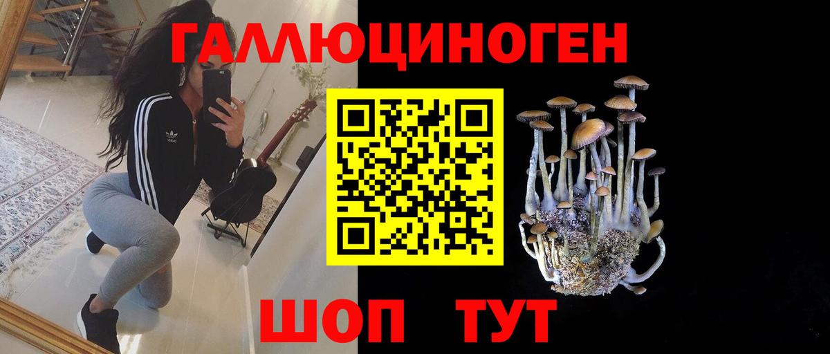 Галлюциногенные грибы ЛСД  Вход с VPN  наркота  Галлюциногенные грибы MAGIC MUSHROOMS  Новокубанск 